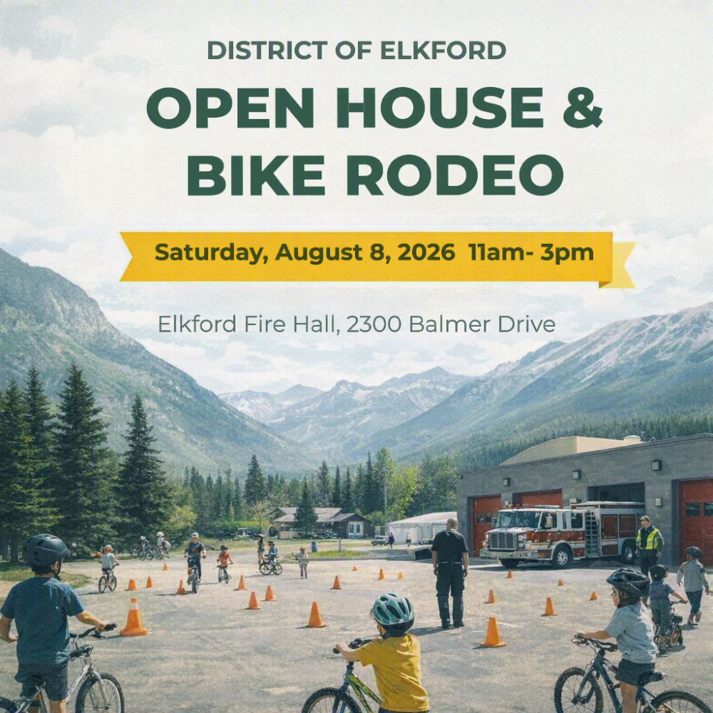 bike rodeo poster