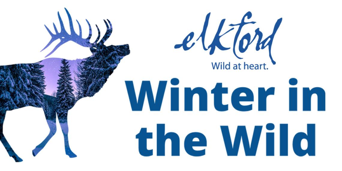 Winter in the Wild 2022